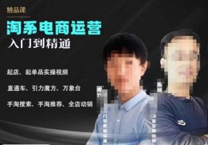 2023手淘搜索实操课+体系化课程，​起店起单品实操视频课程-新手副业项目