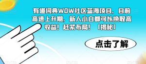 有道词典WOW社区蓝海项目，目前高速上升期，新人小白都可以换取高收益！赶紧布局！【揭秘】-新手副业项目