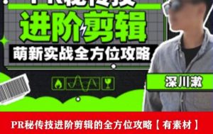 PR进阶剪辑培训班，让你快速成为剪辑大师12节视频课程+素材！-新手副业项目