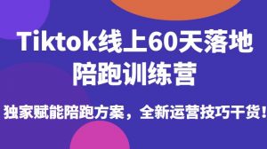 Tiktok线上60天落地陪跑训练营,独家赋能陪跑方案,全新运营技巧干货-新手副业项目