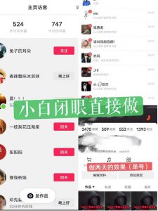 一天做完别一辈子的视频制作最近很火的《1000个野路子信息差》100%过原创【揭秘】-新手副业项目