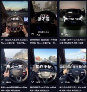 抖音开车视频项目,0基础操作,每天五分钟,月入1W+【揭秘】-新手副业项目