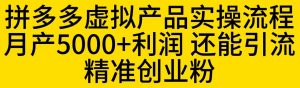 拼多多虚拟产品实操流程，月产5000+利润，还能引流精准创业粉【揭秘】-新手副业项目