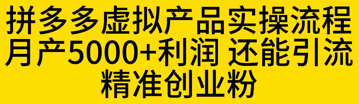 拼多多虚拟产品实操流程，月产5000+利润，还能引流精准创业粉【揭秘】-新手副业项目