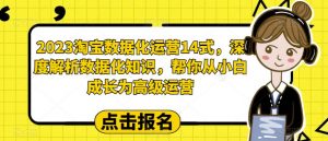 2023淘宝数据化运营14式，深度解析数据化知识，帮你从小白成长为高级运营-新手副业项目