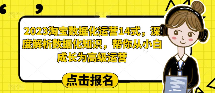 2023淘宝数据化运营14式，深度解析数据化知识，帮你从小白成长为高级运营-新手副业项目