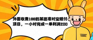 外面收费188的美团准时宝赔付项目，一小时完成一单利润200【仅揭秘】-新手副业项目