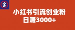 宝哥小红书引流创业粉，日赚3000+【揭秘】-新手副业项目
