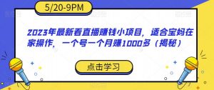2023年最新看直播赚钱小项目，适合宝妈在家操作，一个号一个月赚1000多（揭秘）-新手副业项目