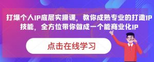 蟹老板·打爆个人IP底层实操课，教你成熟专业的打造IP技能，全方位带你做成一个能商业化IP-新手副业项目