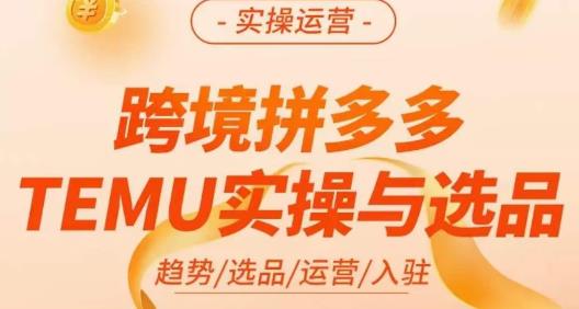 伍跃·跨境拼多多TEMU实操与选品，​趋势/选品/运营/入住（27节完整）-新手副业项目