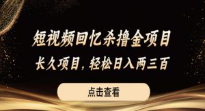 短视频回忆杀撸金项目，长久项目，轻松日入两三张【揭秘】-新手副业项目