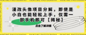 漫改头像项目分解，即使是小白也能轻松上手，仅需一部手机即可【揭秘】-新手副业项目
