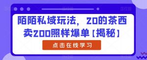 陌陌私域玩法，20的茶西卖200照样爆单【揭秘】-新手副业项目