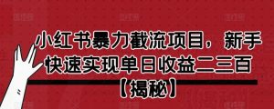 小红书暴力截流项目，新手快速实现单日收益二三百【仅揭秘】-新手副业项目