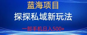 蓝海项目，探探私域新玩法，一部手机日入500+很轻松【揭秘】-新手副业项目