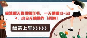 极速版无费用薅羊毛，一天躺赚10-50+，小白无脑操作【拆解】-新手副业项目