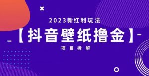 抖音壁纸小程序创作者撸金项目，2023新红利玩法【项目拆解】-新手副业项目