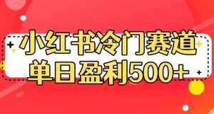 小红书冷门赛道，单日盈利500+【揭秘】-新手副业项目