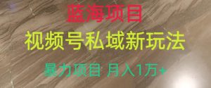 蓝海项目,视频号私域新玩法,暴力项目月入1万+【揭秘】-新手副业项目