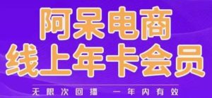 阿呆电商线上年会员，阿呆电商干货分享（更新中）-新手副业项目