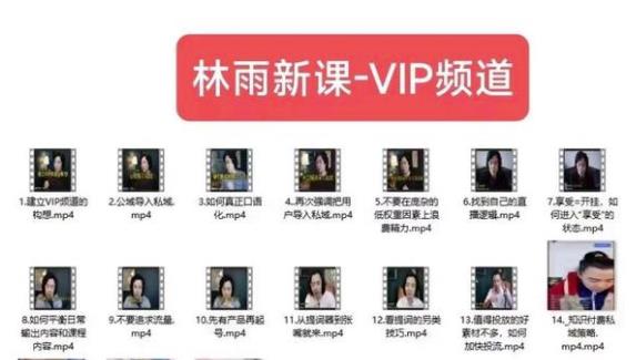 林雨新课VIP频道，玩赚私域/朋友圈/社群-新手副业项目