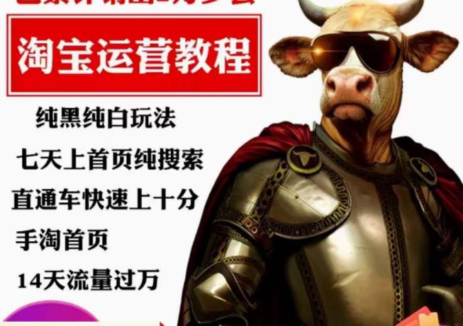 猫老师·淘系算法逆向解密，​纯黑纯白玩法，七天上首页纯搜索，手淘首页14天流量过万-新手副业项目