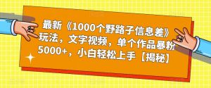 最新《1000个野路子信息差》玩法，文字视频，单个作品暴粉5000+，小白轻松上手【揭秘】-新手副业项目