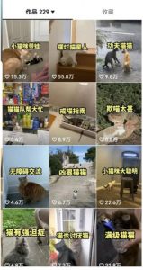 拆解：抖音盘点类中视频变现副业项目，视频版一条龙大解析分享给你-新手副业项目