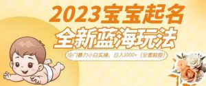 2023宝宝起名全新蓝海玩法，冷门暴力小白实操，日入1000+（全套教程）【揭秘】-新手副业项目