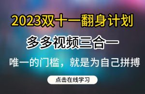 2023双十一翻身计划,多多视频带货三合一玩法教程【揭秘】-新手副业项目