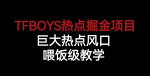 TFBOYS热点掘金项目，巨大热点风口，喂饭级教学-新手副业项目