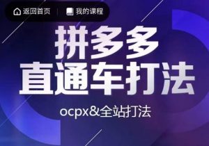 互力·拼多多直通车打法，ocpx&全站打法-新手副业项目
