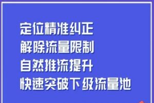 同城账号付费投放运营优化提升，​定位精准纠正，解除流量限制，自然推流提升，极速突破下级流量池-新手副业项目