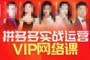 推易拼多多VIP全套直播课程，拼多多店铺实操玩法+实战玩法选款内功+直通车高阶等-新手副业项目