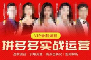 2023推易拼多多实战运营，选款测品、引爆流量、高点击转化、规则解析-新手副业项目