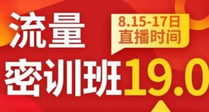 秋秋线上流量密训班19.0,打通流量关卡,线上也能实战流量破局-新手副业项目