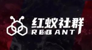 社群运营:红蚁社群【48节落地系统课程+2000人高端社群】-新手副业项目