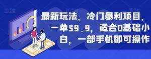 最新玩法，冷门暴利项目，一单59.9，适合0基础小白，一部手机即可操作【揭秘】-新手副业项目