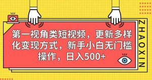 第一视角类短视频,更新多样化变现方式,新手小白无门槛操作,日入500+【揭秘】-新手副业项目