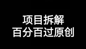 项目拆解赛道百分百过原创【揭秘】-新手副业项目