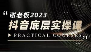 蟹老板·2023抖音底层实操课，打造短视频的底层认知-新手副业项目