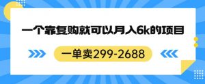 一单卖299-2688,一个靠复购就可以月入6k的暴利项目【揭秘】-新手副业项目