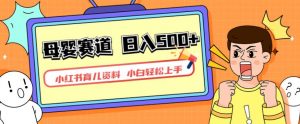 小红书育儿资料,一部手机可操作,多种变现方式,日入500+,私域变现,长期可持续项目【揭秘】-新手副业项目