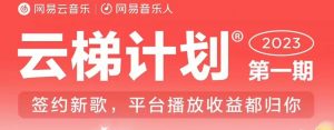 2023年8月份网易云最新独家挂机技术，真正实现挂机月入5000【揭秘】-新手副业项目