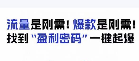电商盈利精品课：6大盈利密码让产品更好卖，流量是刚需！爆款是刚需！找到”盈利密码”一键起爆-新手副业项目