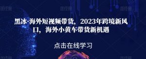 黑冰·海外短视频带货，2023年跨境新风口，海外小黄车带货新机遇-新手副业项目