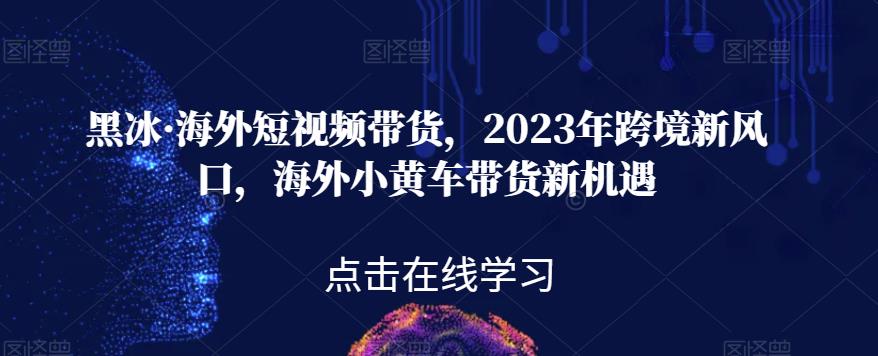 黑冰·海外短视频带货，2023年跨境新风口，海外小黄车带货新机遇-新手副业项目