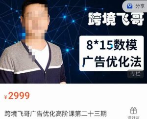 跨境飞哥·广告优化高阶课第二十三期，​8*15数模广告优化法，用数据驱动决策-新手副业项目