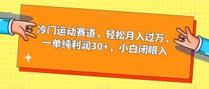 冷门运动赛道，轻松月入过万，一单纯利润30+，小白闭眼入【揭秘】-新手副业项目